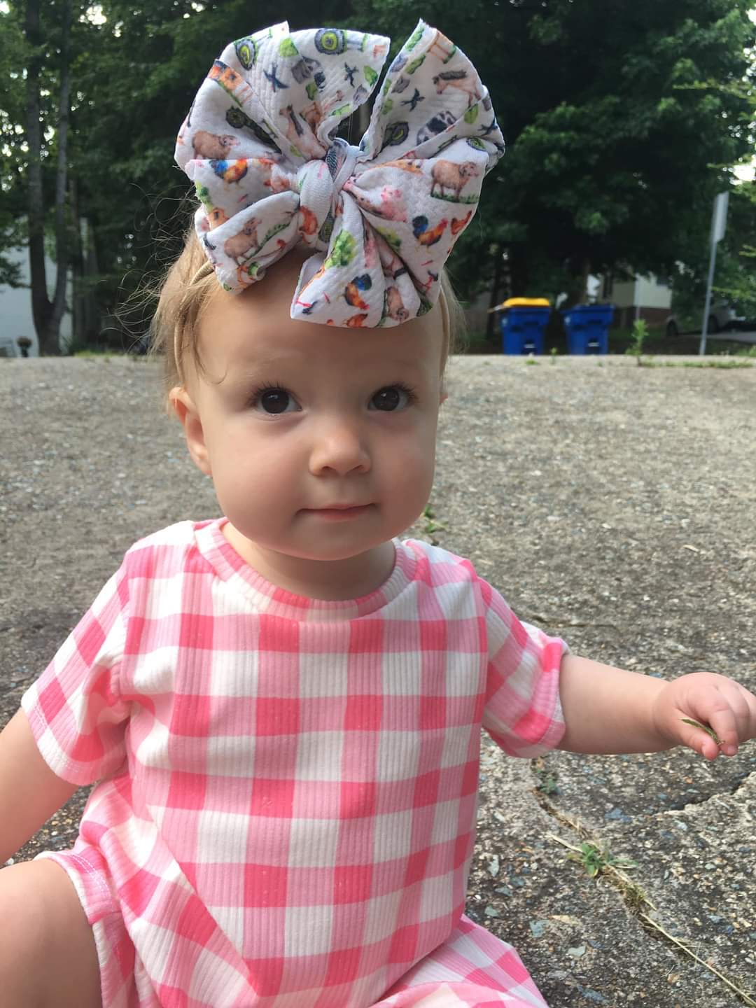 Farm Girl